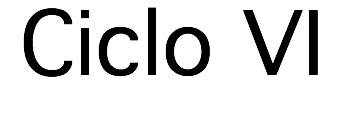 Ciclo VI